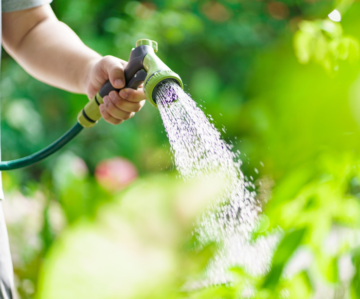 A man watering outdoor plants.