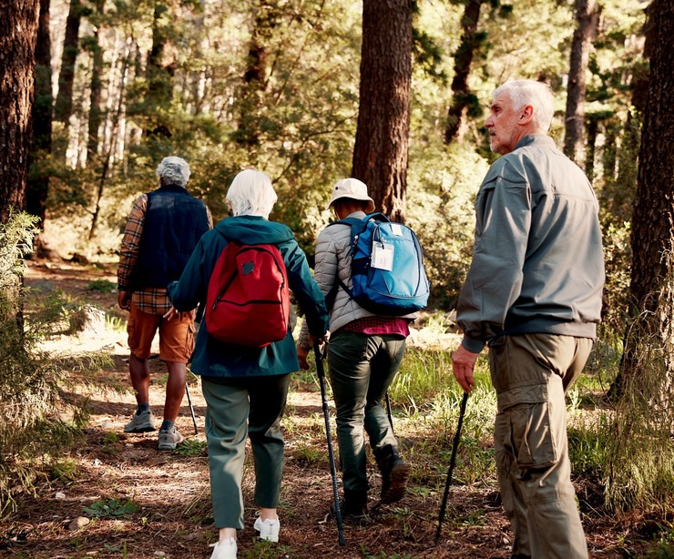 Group of older adults hiking in the forest
